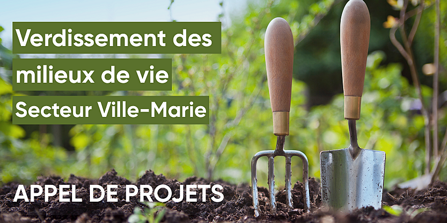 Large banni%c3%88res  1 