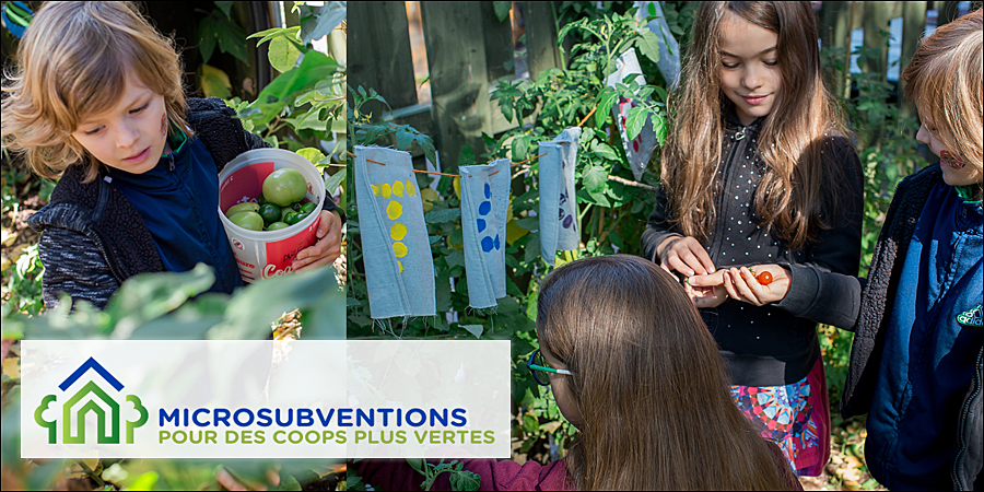 Large microsubventions vertes fhcc