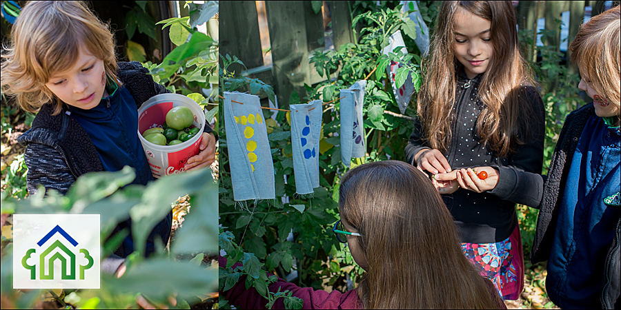 Large microsubventions vertes fhcc en